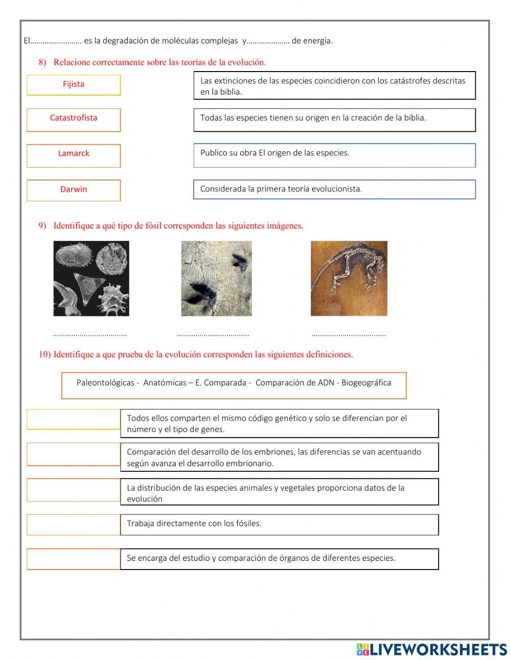 Evaluacion de supletorio biologia i