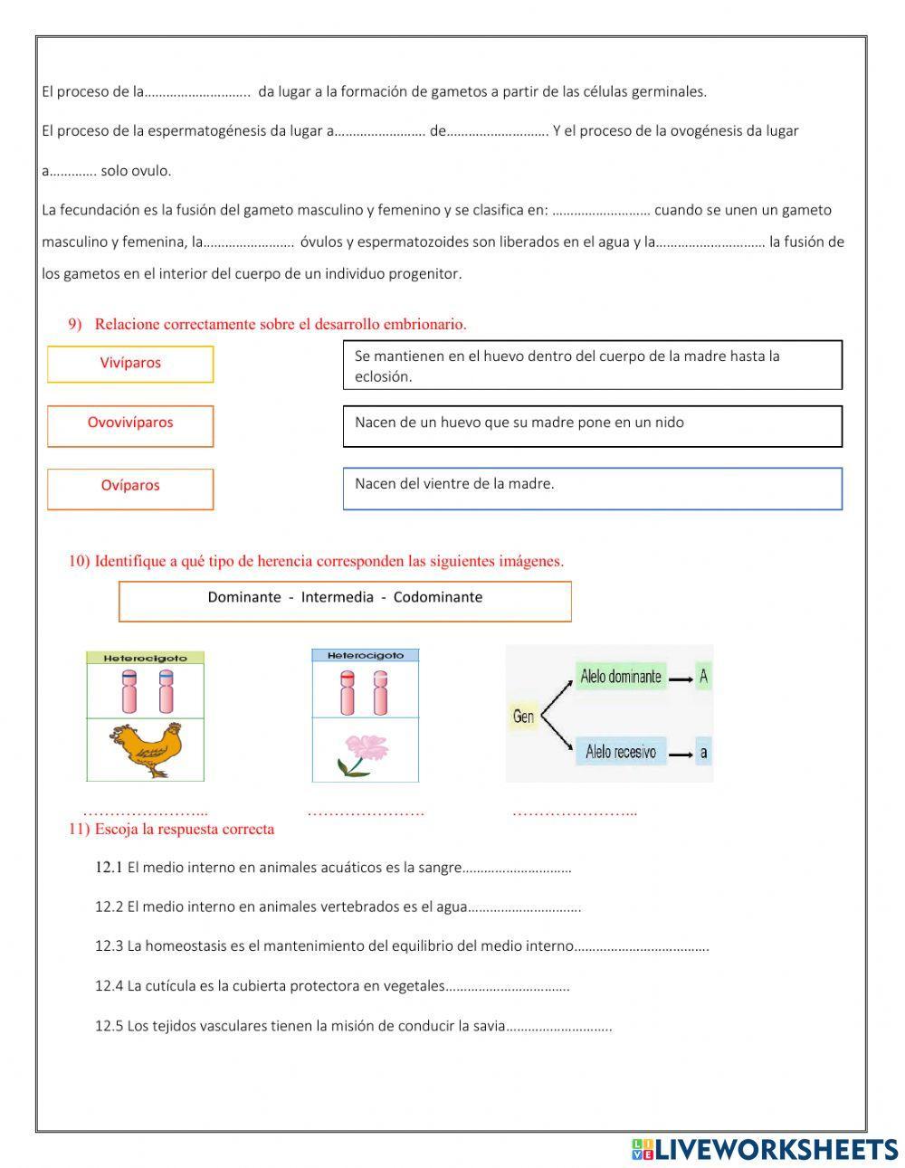 Evaluacion supletorio biologia ii