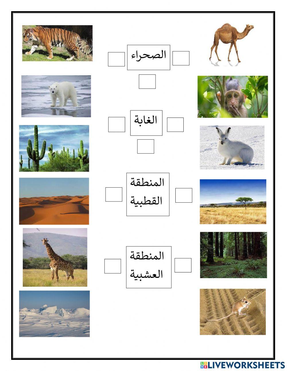 البيئات المختلفة التي يعيش فيها الحيوانات