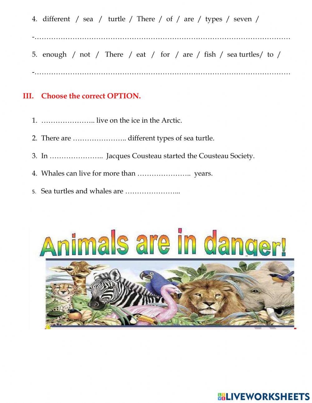 WS Unit 5 page 50+51