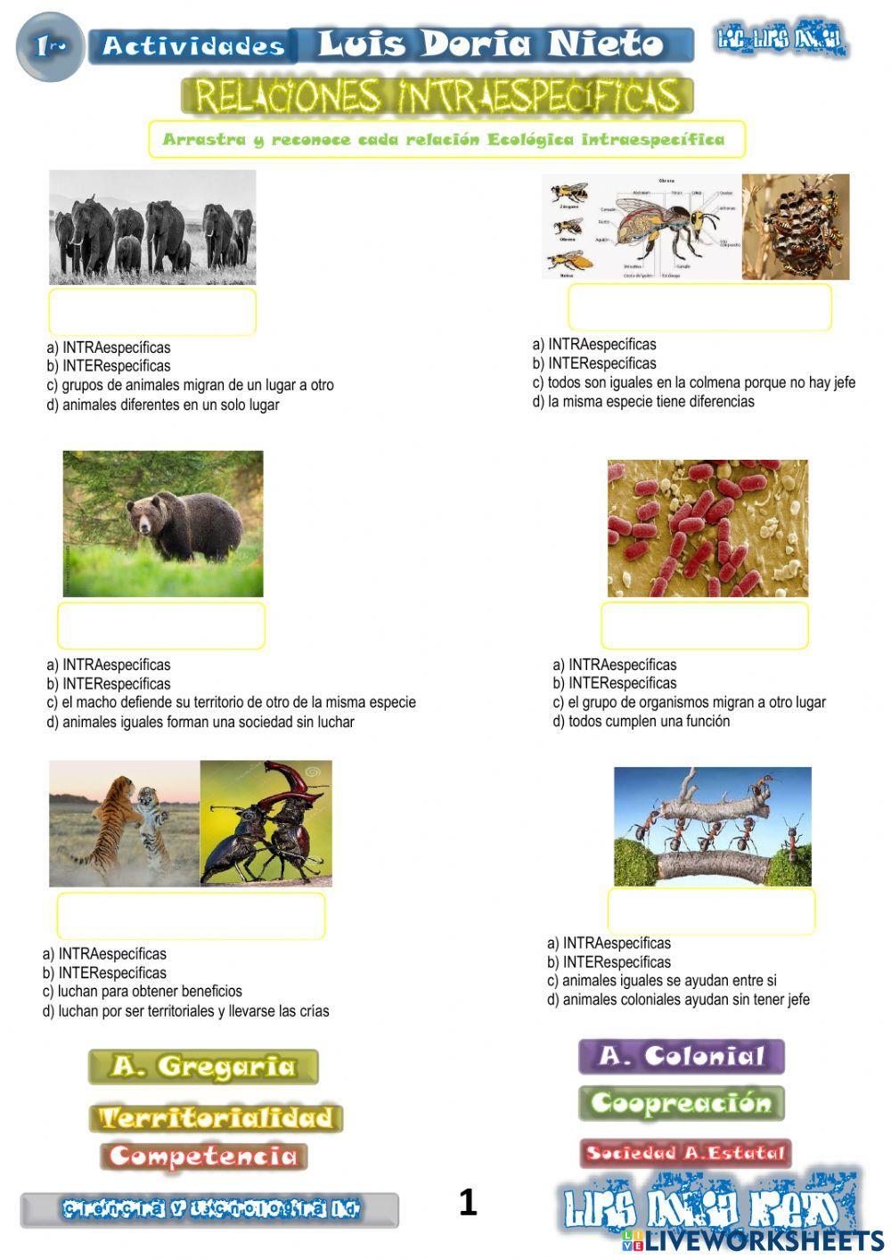 RELACIONES INTRAespecíficas 2