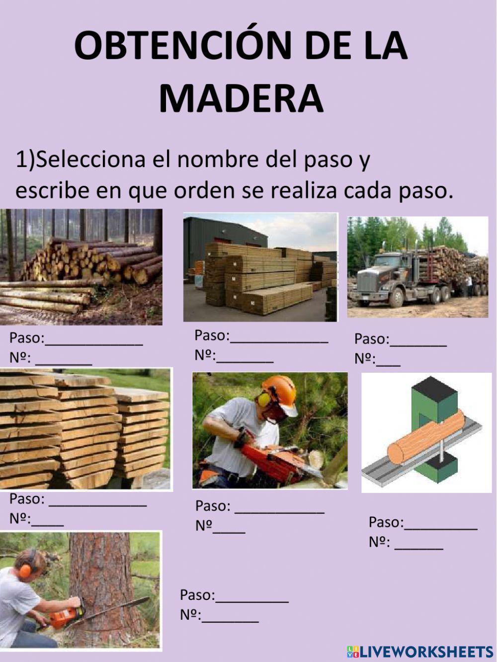 Obtención de la Madera Obtención de la Madera