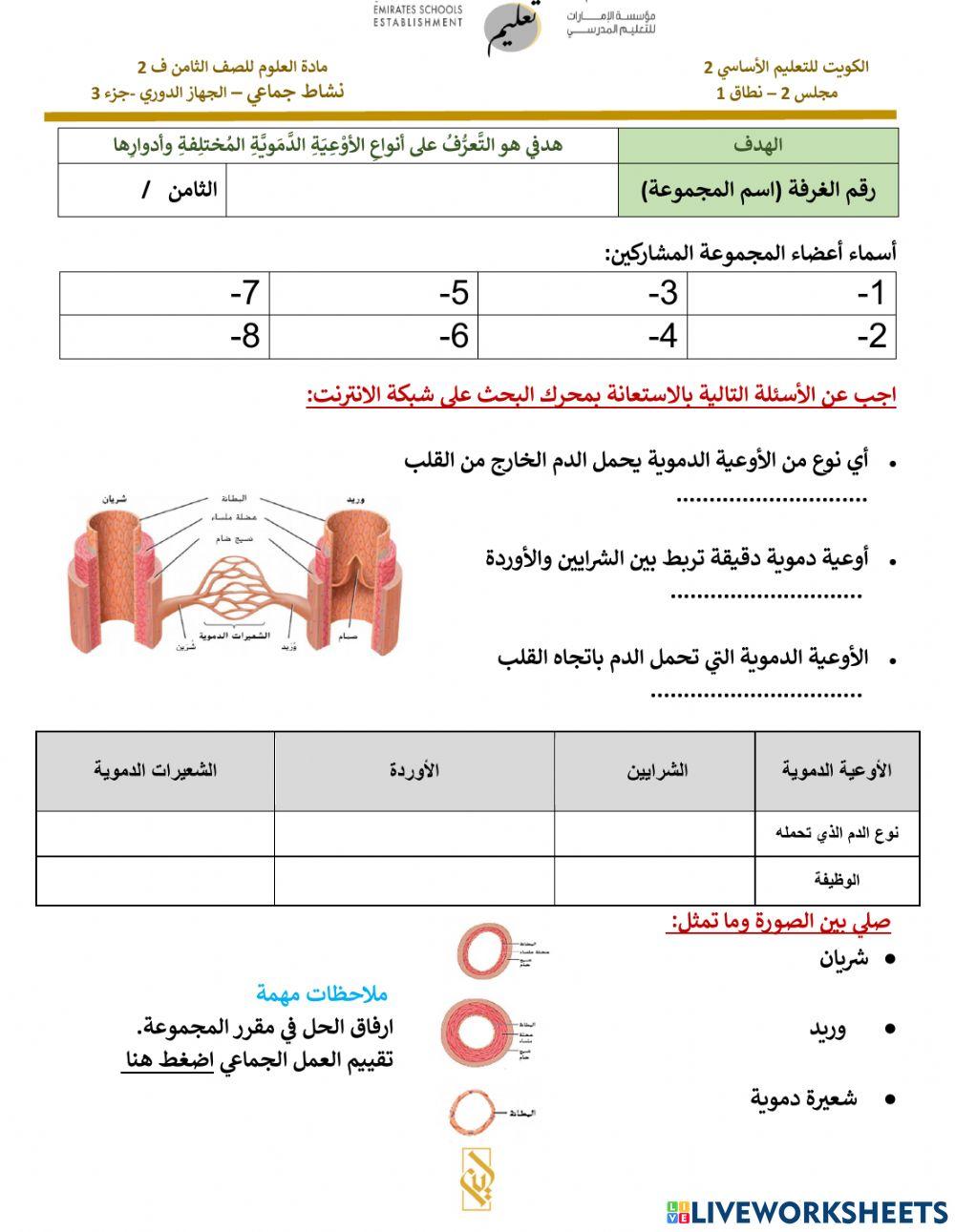 ابحث عني - انواع الاوعية الدموية