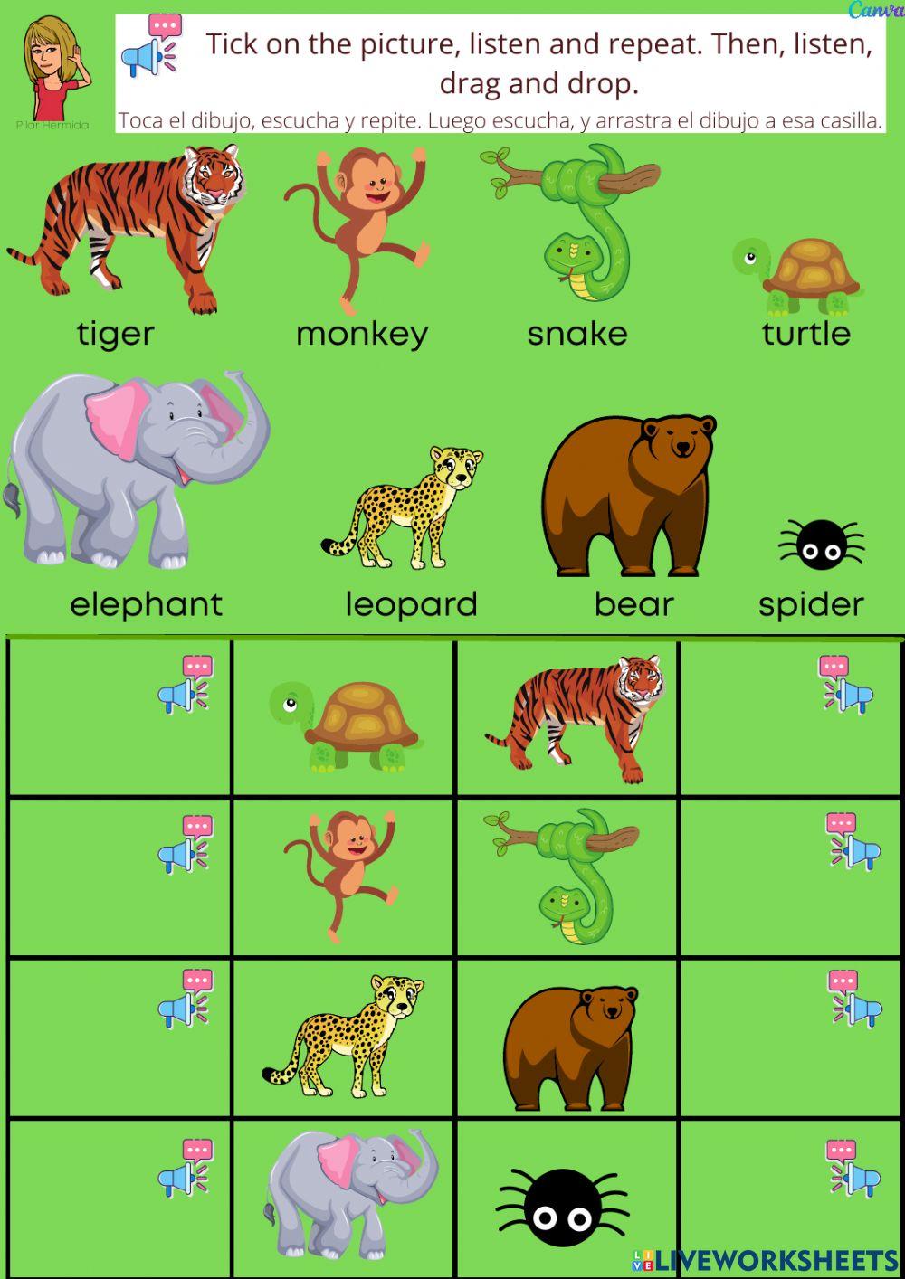 1EP STORY I THE KING OF THE JUNGLE Surprise