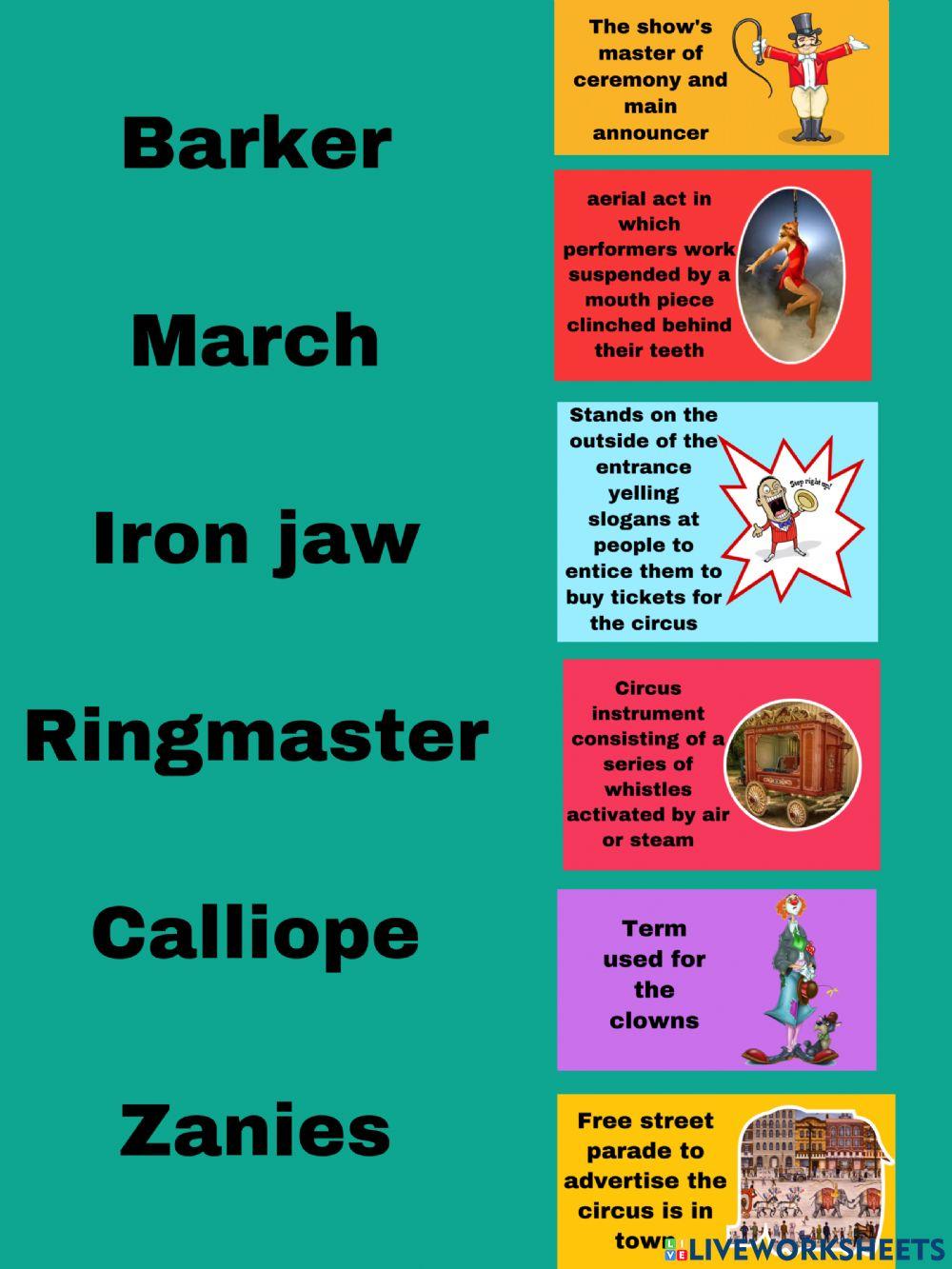 Matching circus terms