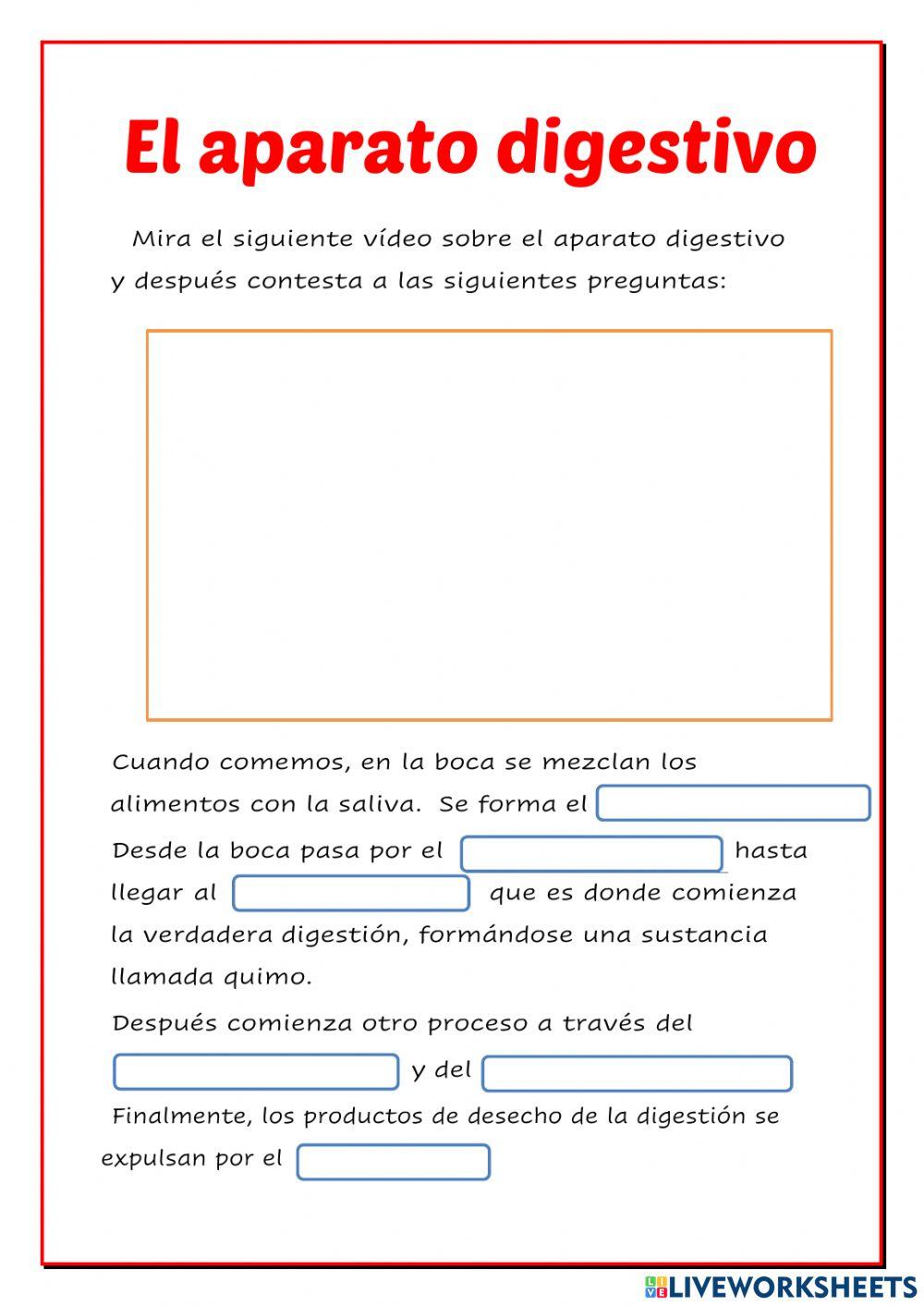 El aparato digestivo