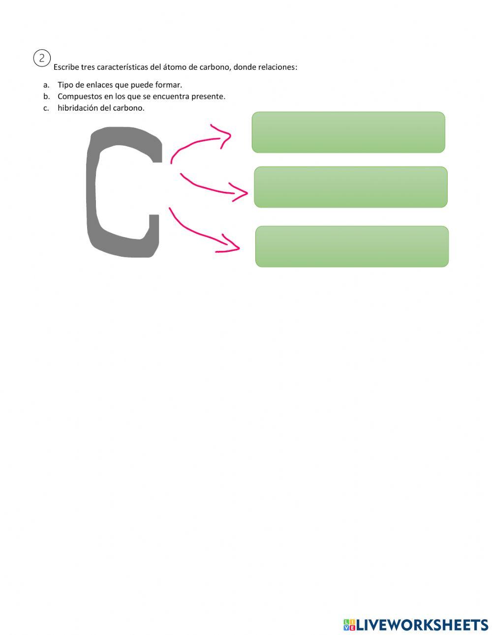 Actividad de afianzamiento