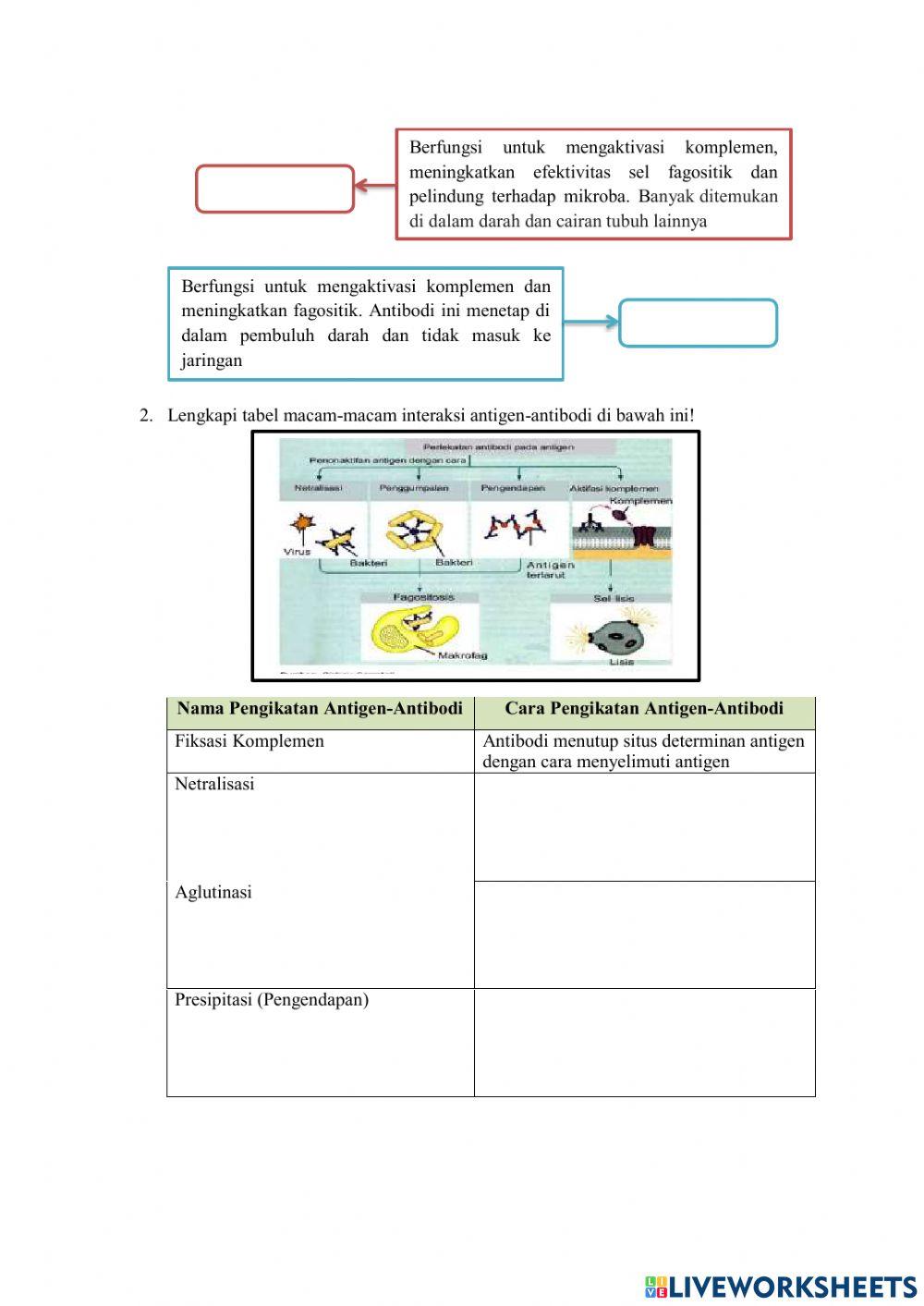 Sistem Pertahanan Tubuh