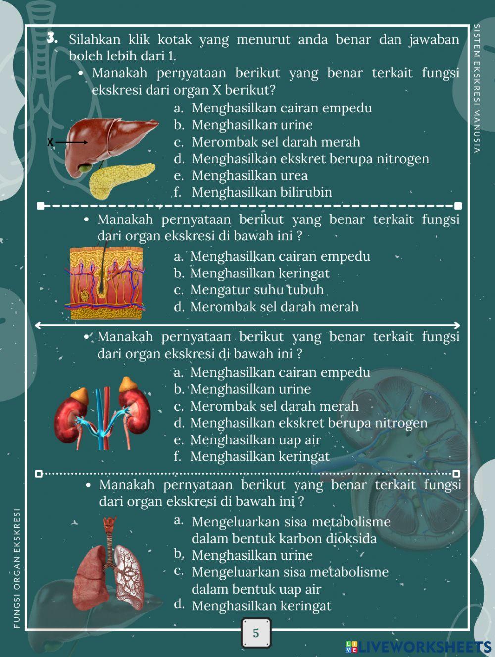 LKPD Elektronik Berbasis Inkuiri Terbimbing Materi Sistem Ekskresi Manusia 1