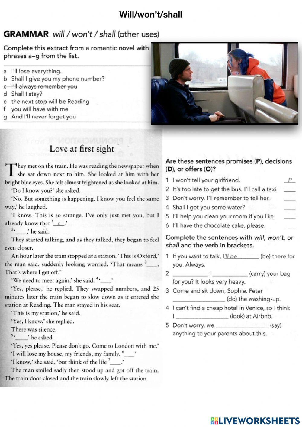 Will-won't-shall grammar