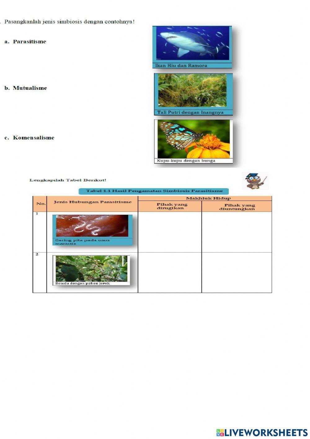 Interaksi makhluk hidup