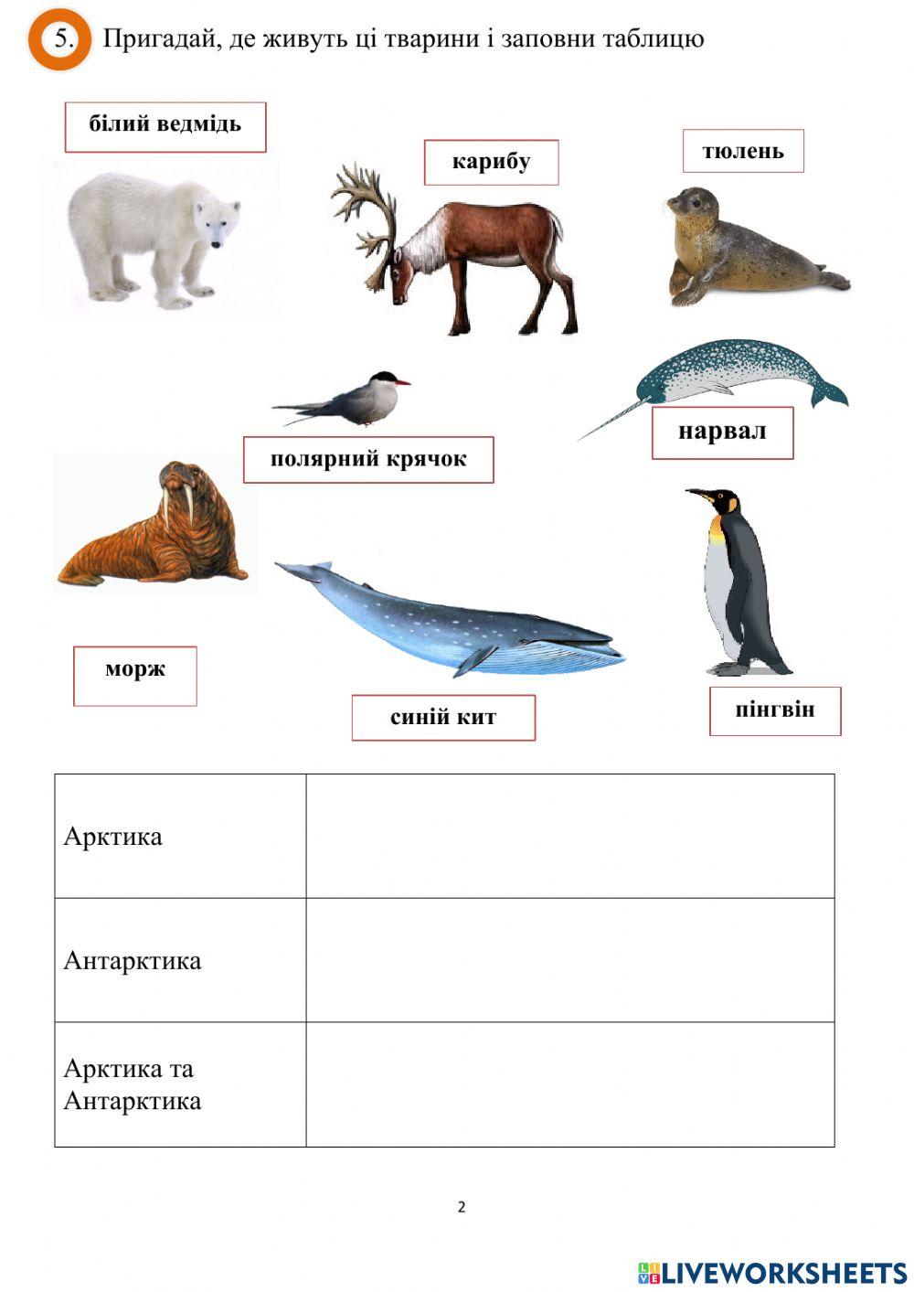 За полярними колами, 2 клас