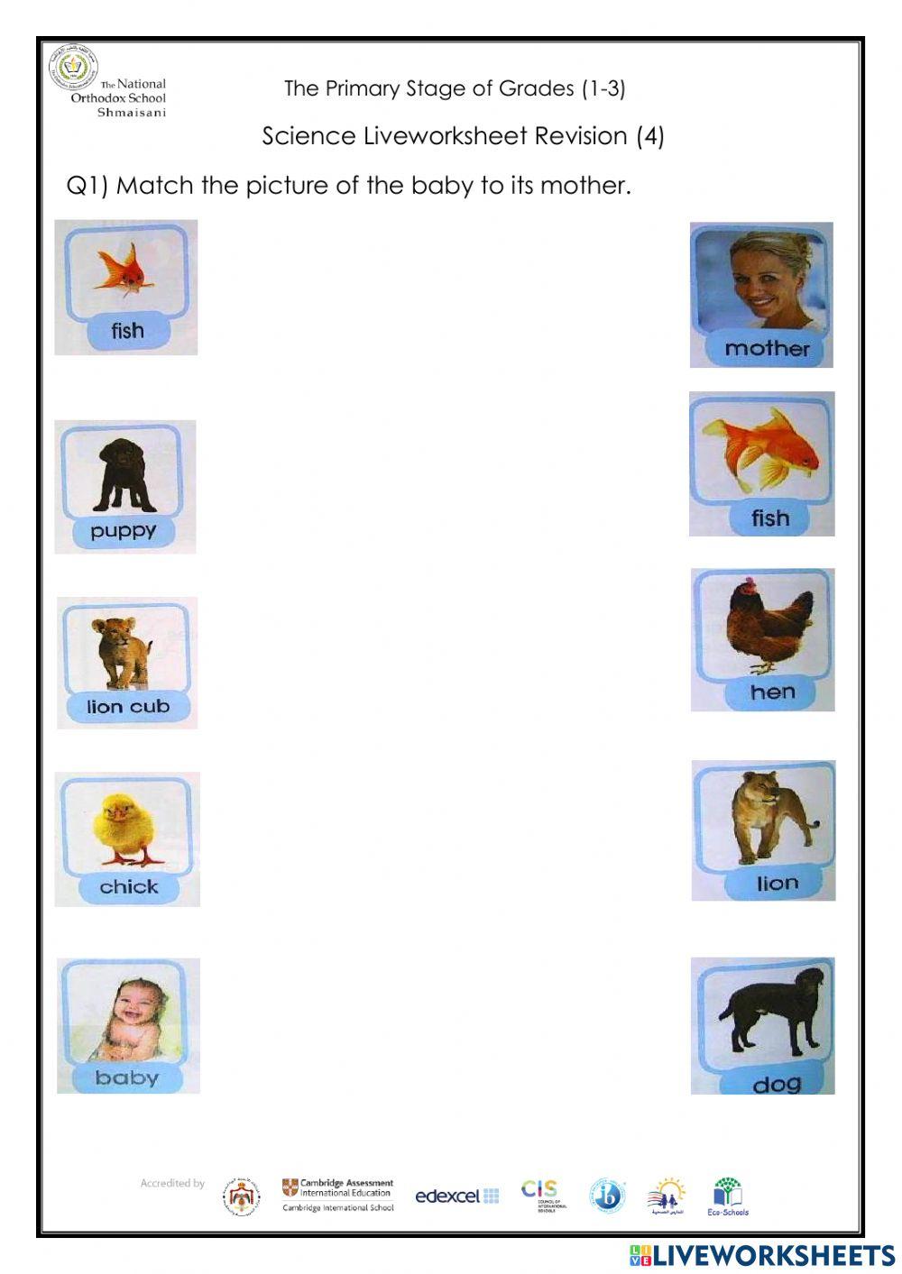 Living things mothers