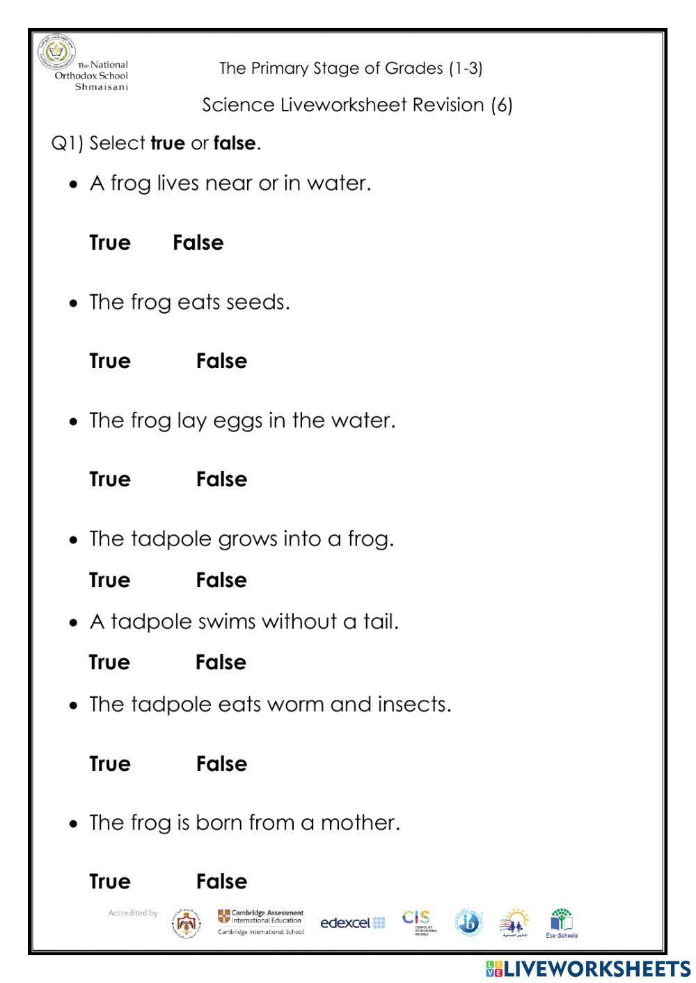 Frog lifecycle
