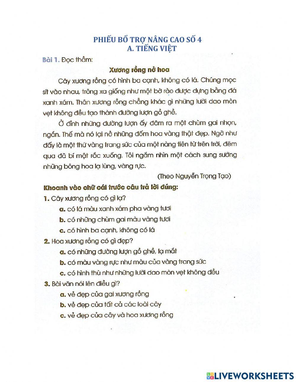 Phiếu nâng cao bổ trợ số 4