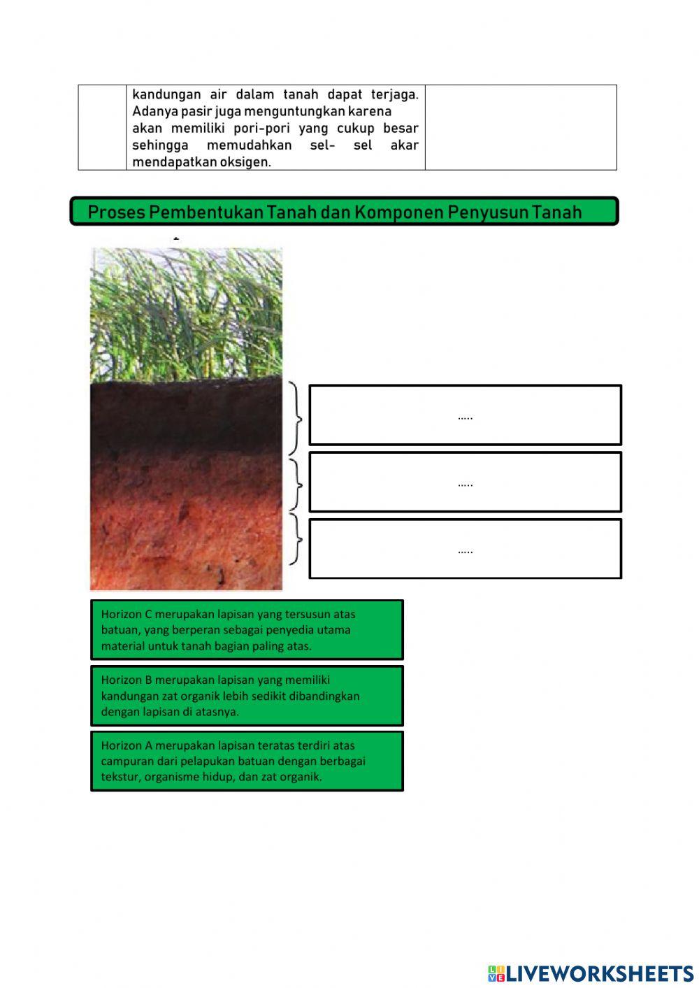 LKPD Tanah Dan Keberlangsungan Kehidupan