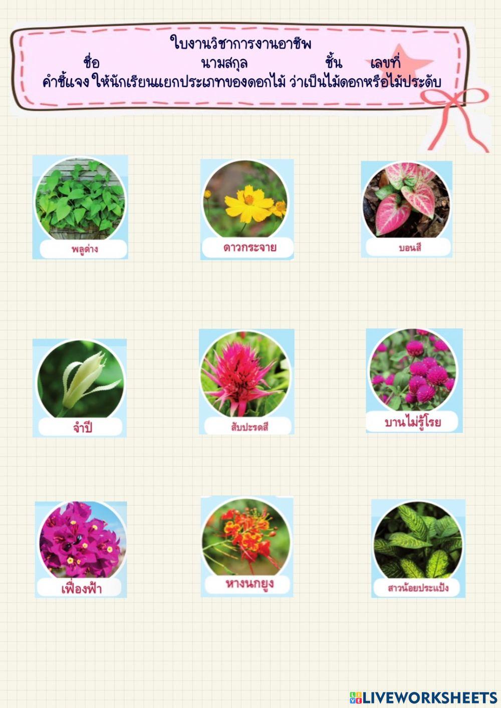 การงานอาชีพ