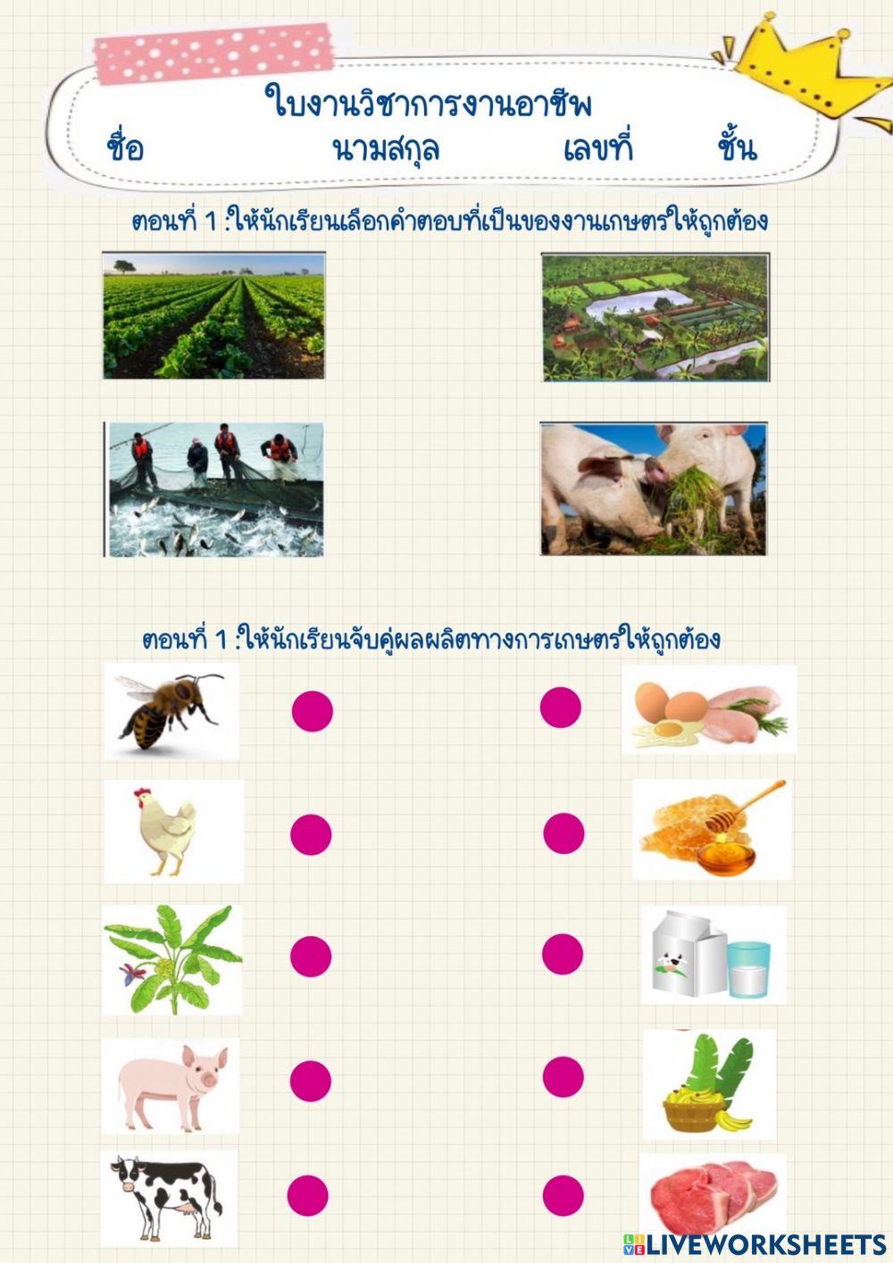 การงานอาชีพ