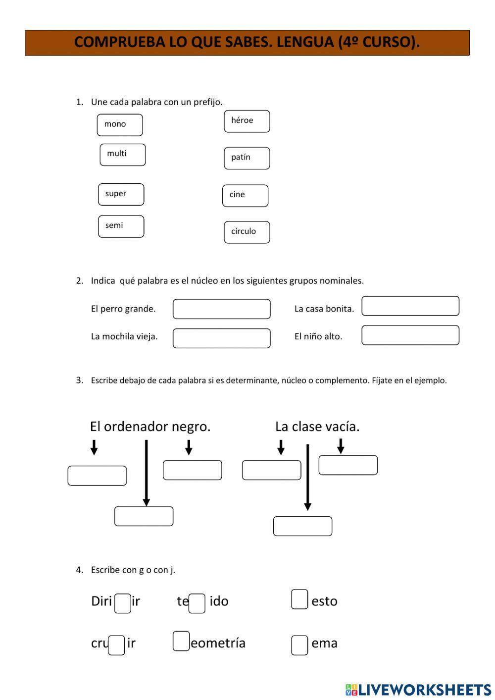 Prefijos, campo léxico, grupo nominal y pronombres.