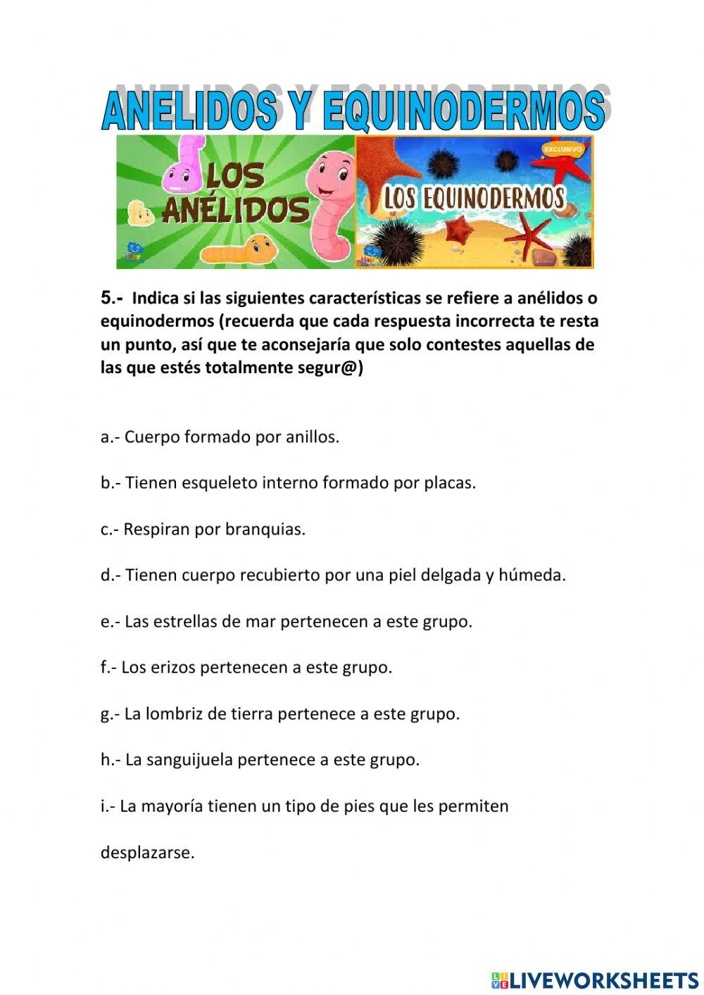 Anélidos y equinodermos