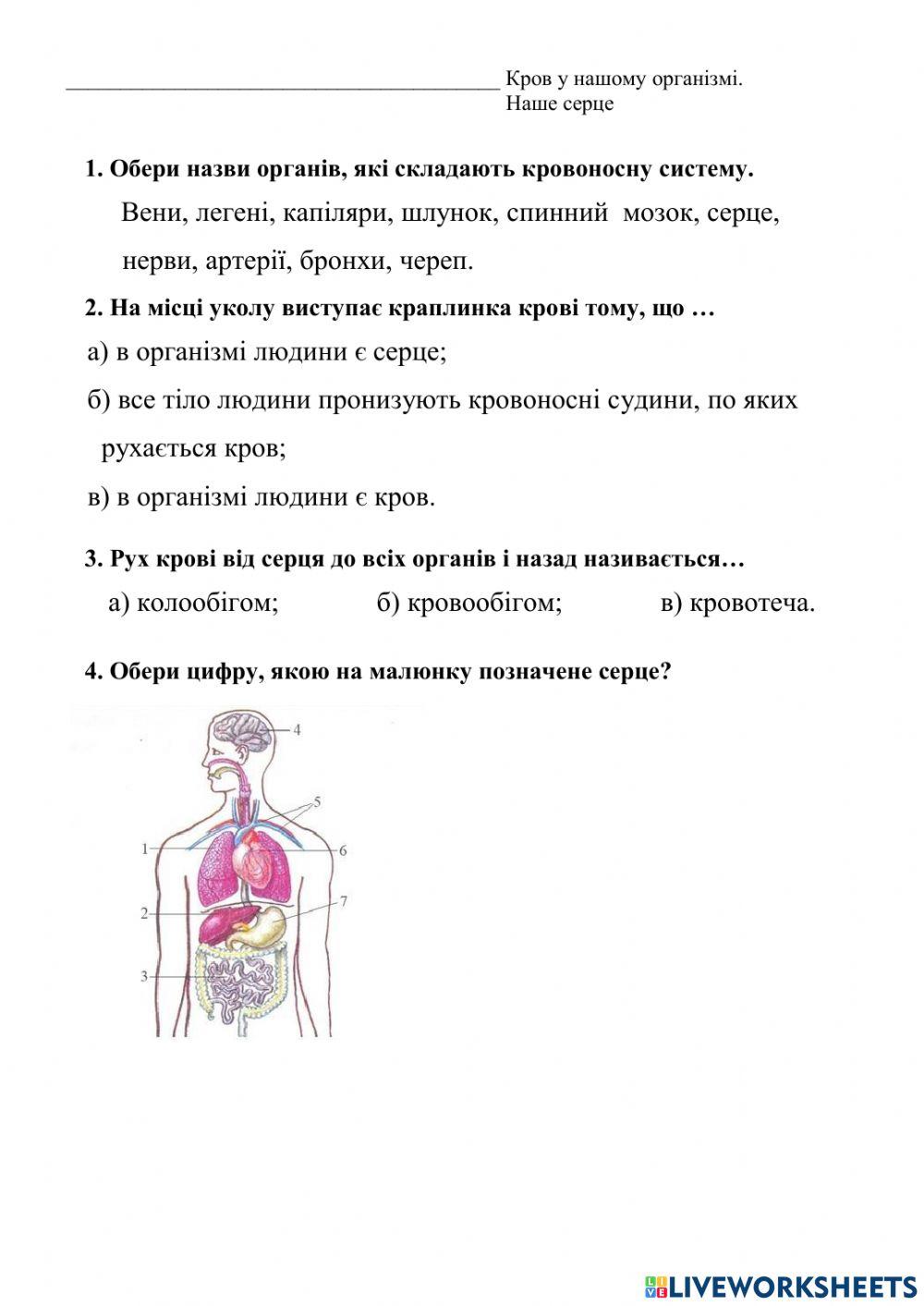 Самостійна робота