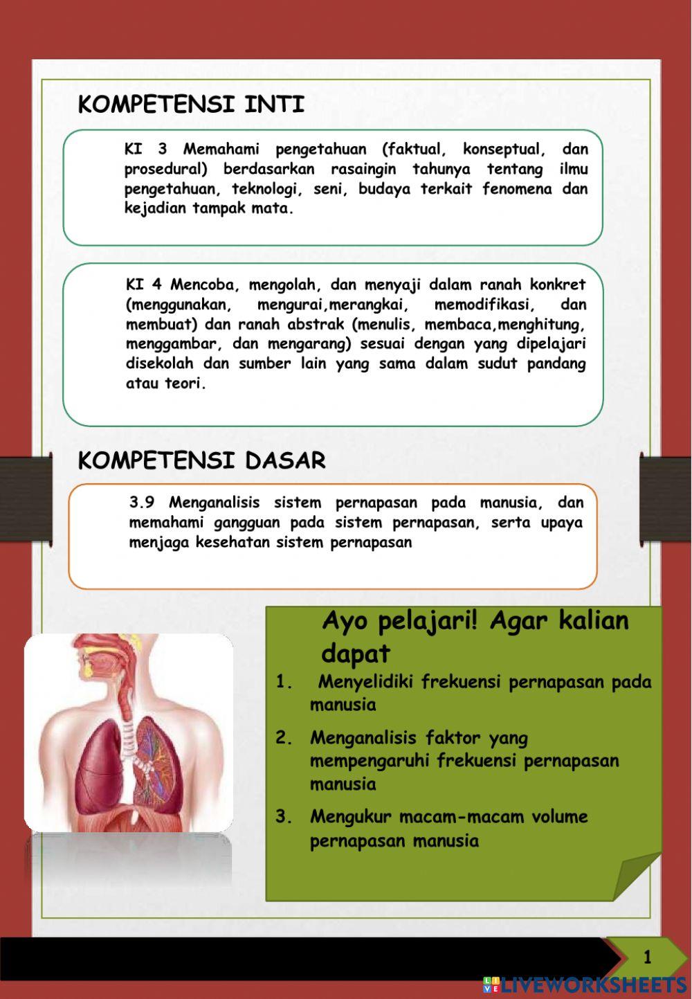 Lkpd sistem pernapasan part 2