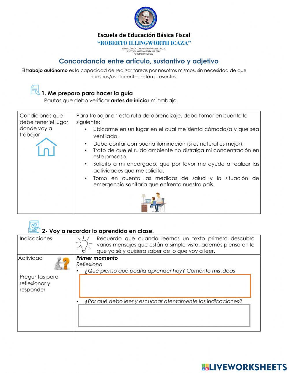 Concordancia  del artículo - sustantivo y adjetivo