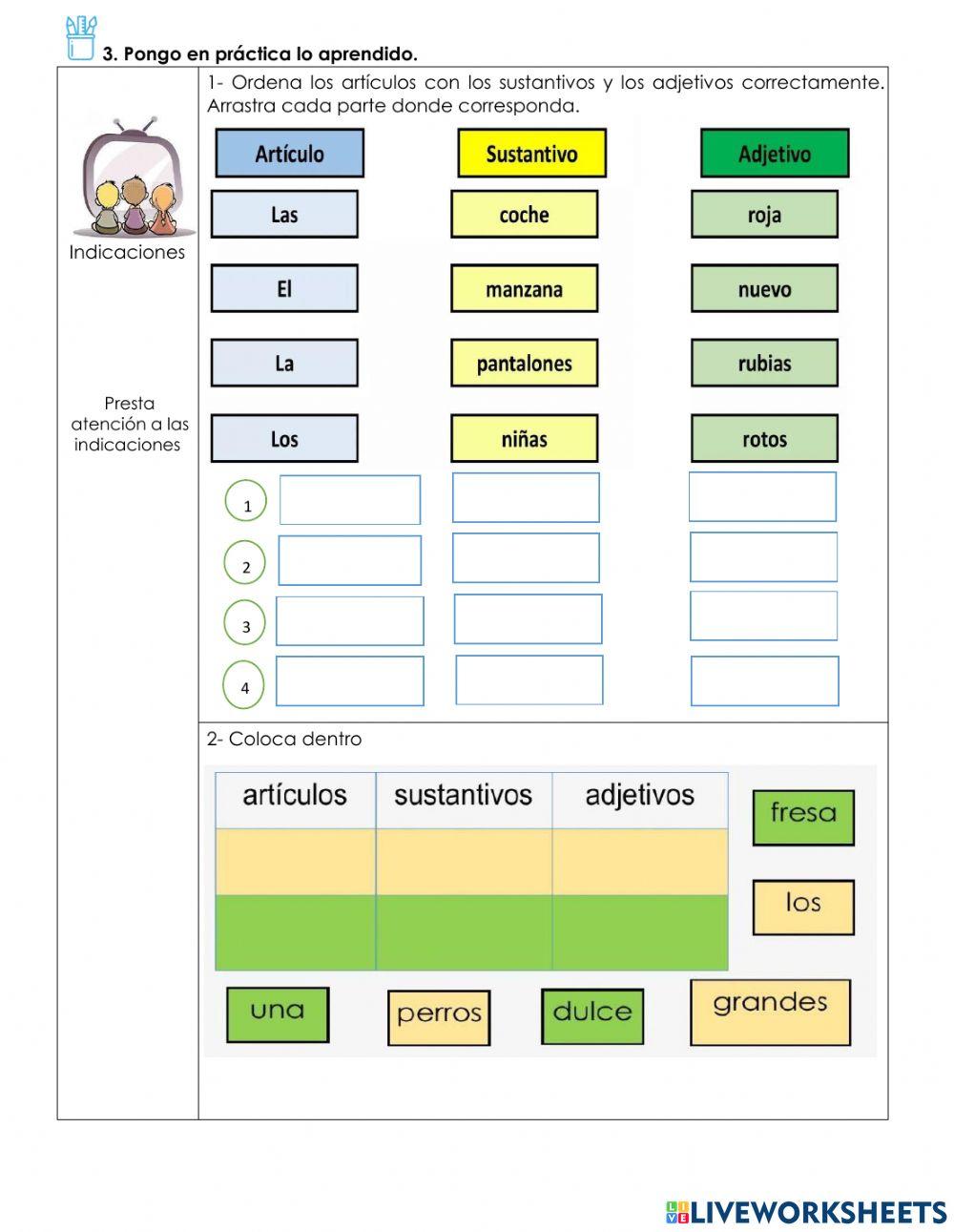 Concordancia  del artículo - sustantivo y adjetivo