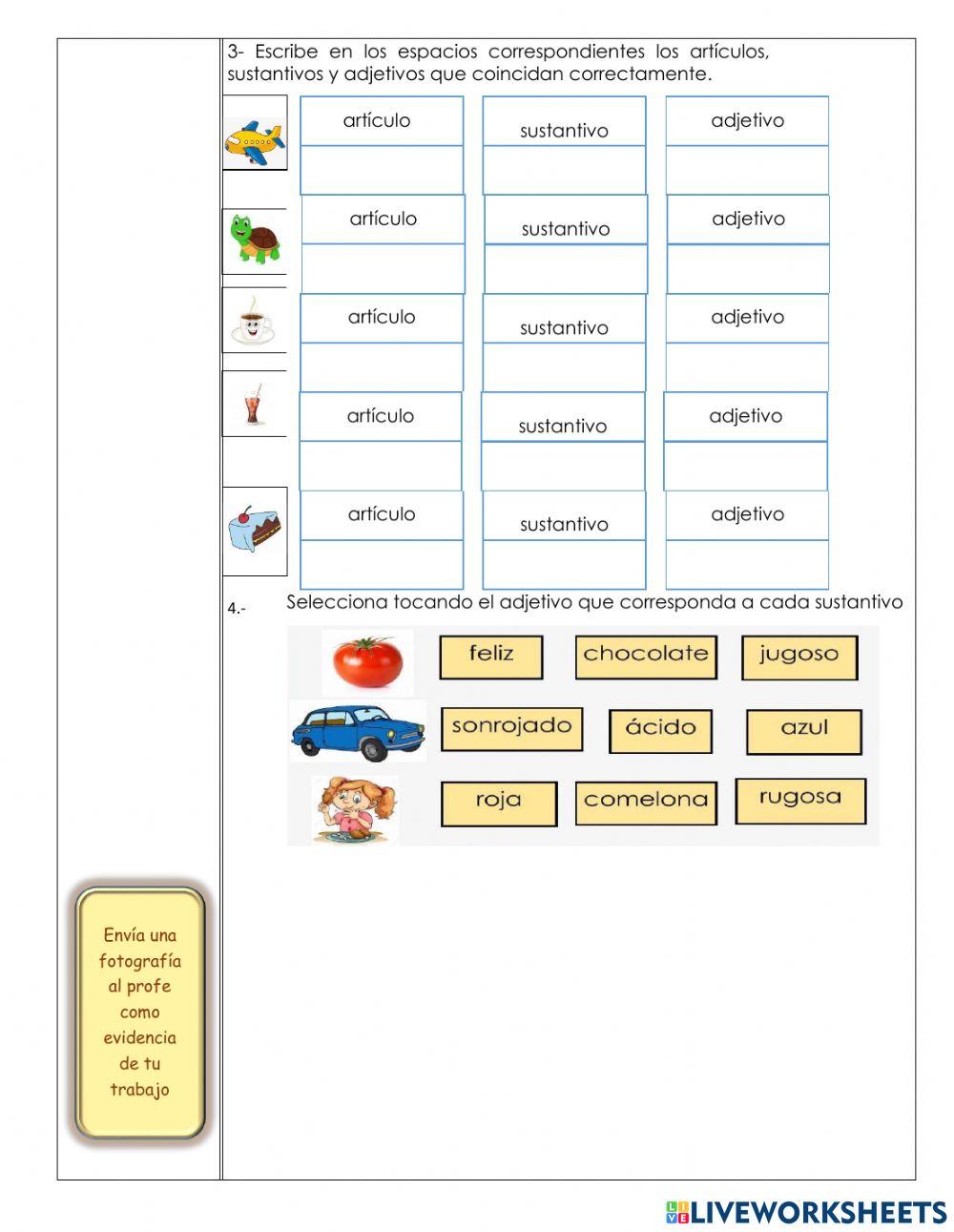 Concordancia  del artículo - sustantivo y adjetivo