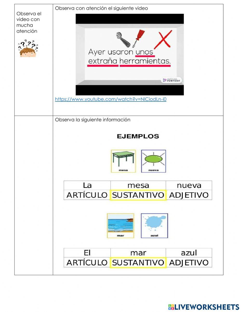 Concordancia  del artículo - sustantivo y adjetivo