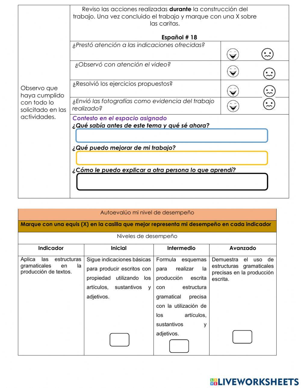 Concordancia  del artículo - sustantivo y adjetivo