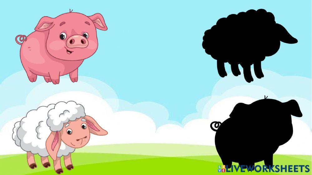 Animales y su sombra