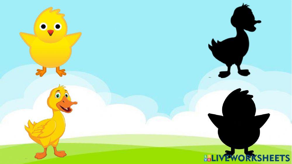 Animales y su sombra