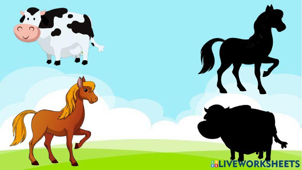 Animales y su sombra