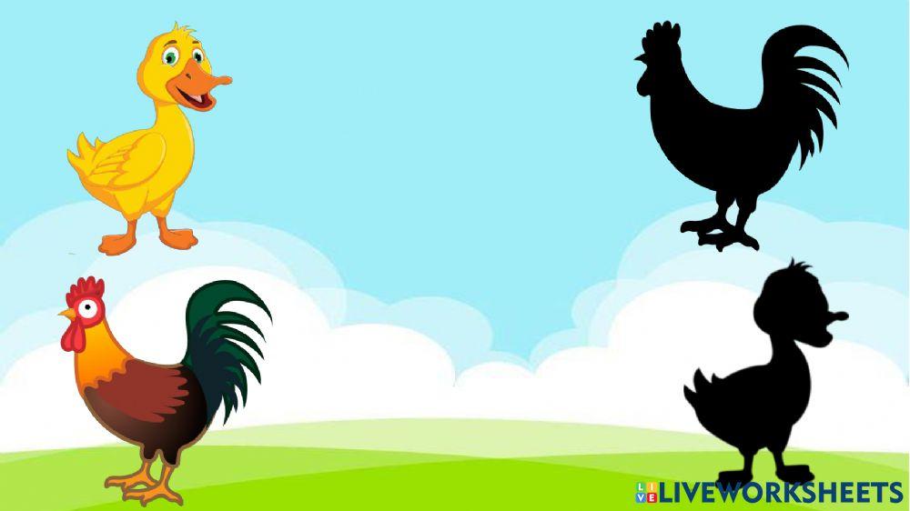 Animales y su sombra