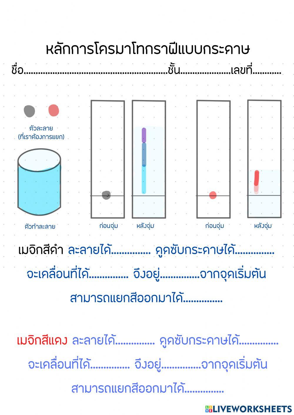 การโครมาโทกราฟีแบบกระดาษ