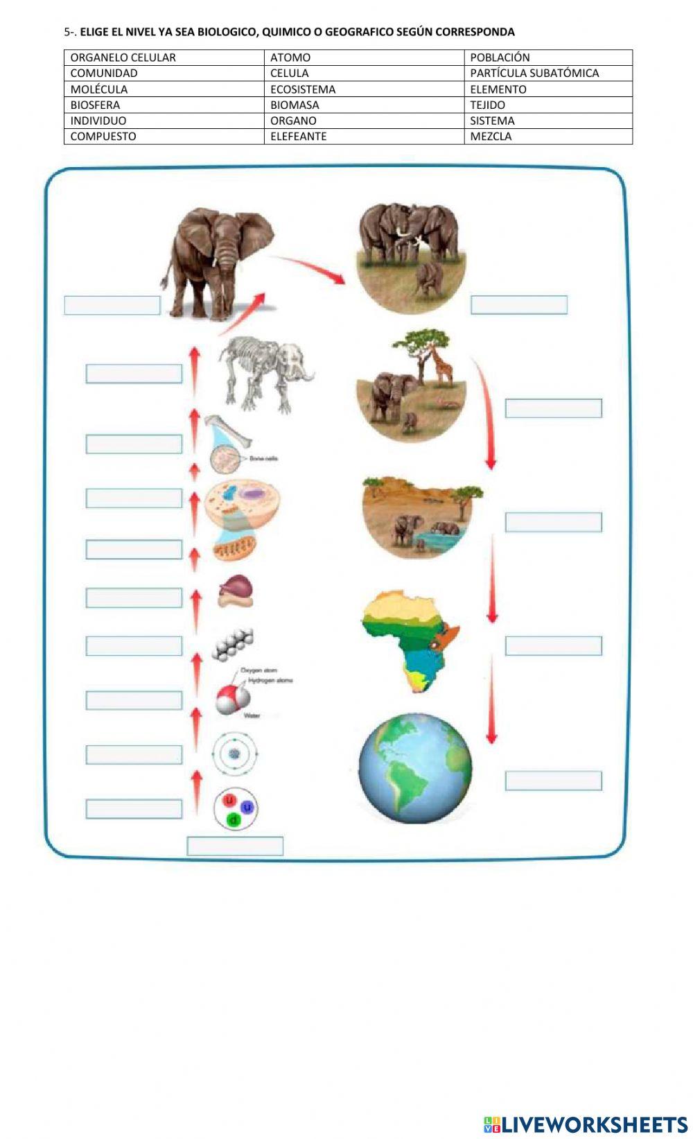 Biologia como ciencia y sus bases