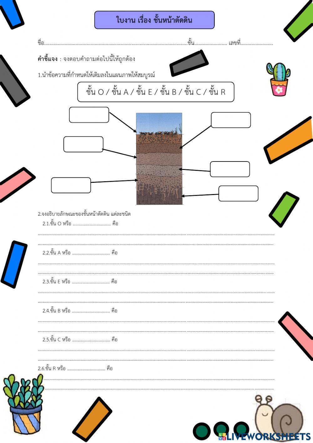 ชั้นหน้าตัดดิน