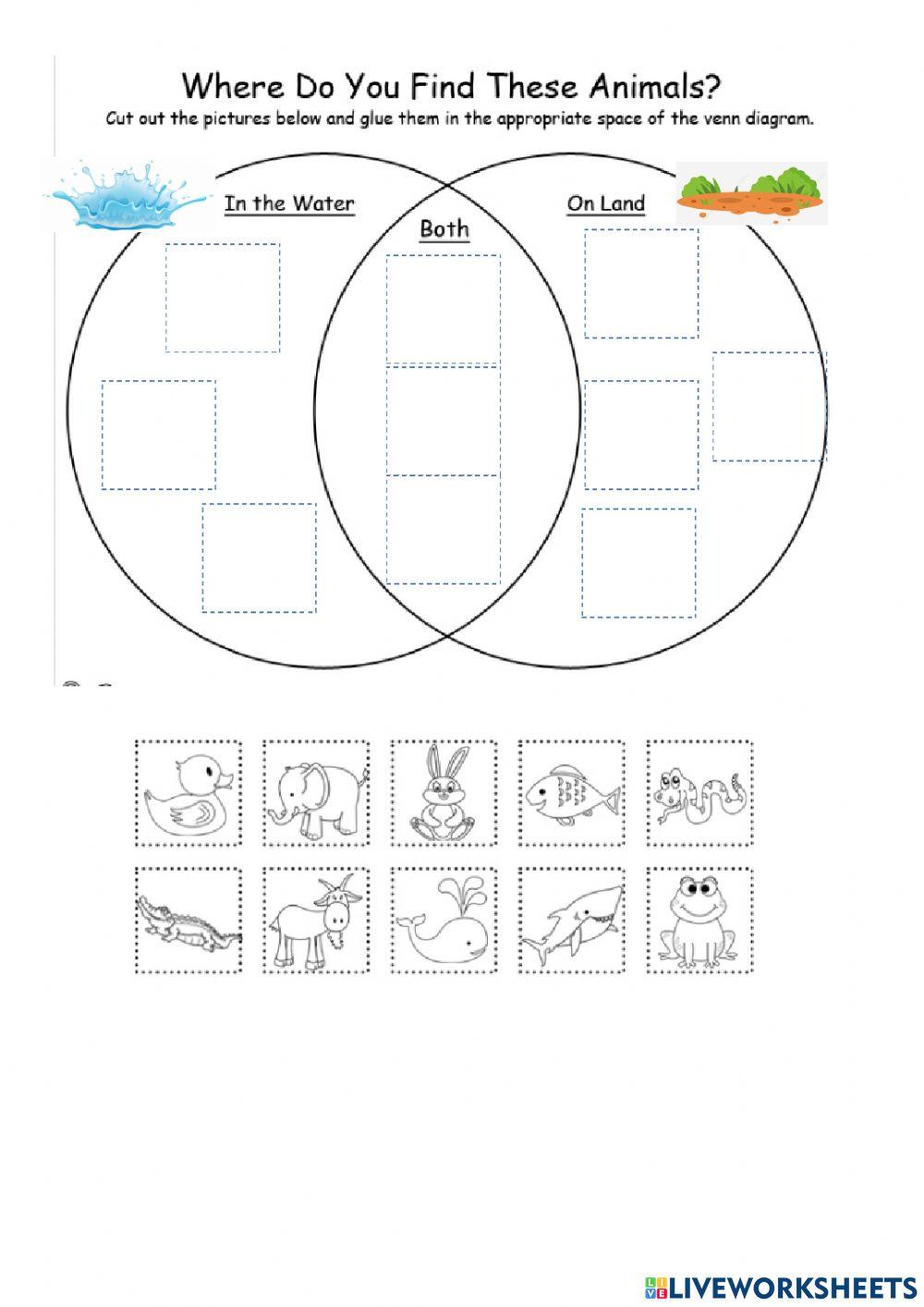 Land or water animals