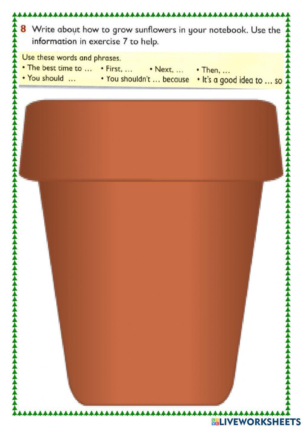 R&W 4 Growing things Part 2