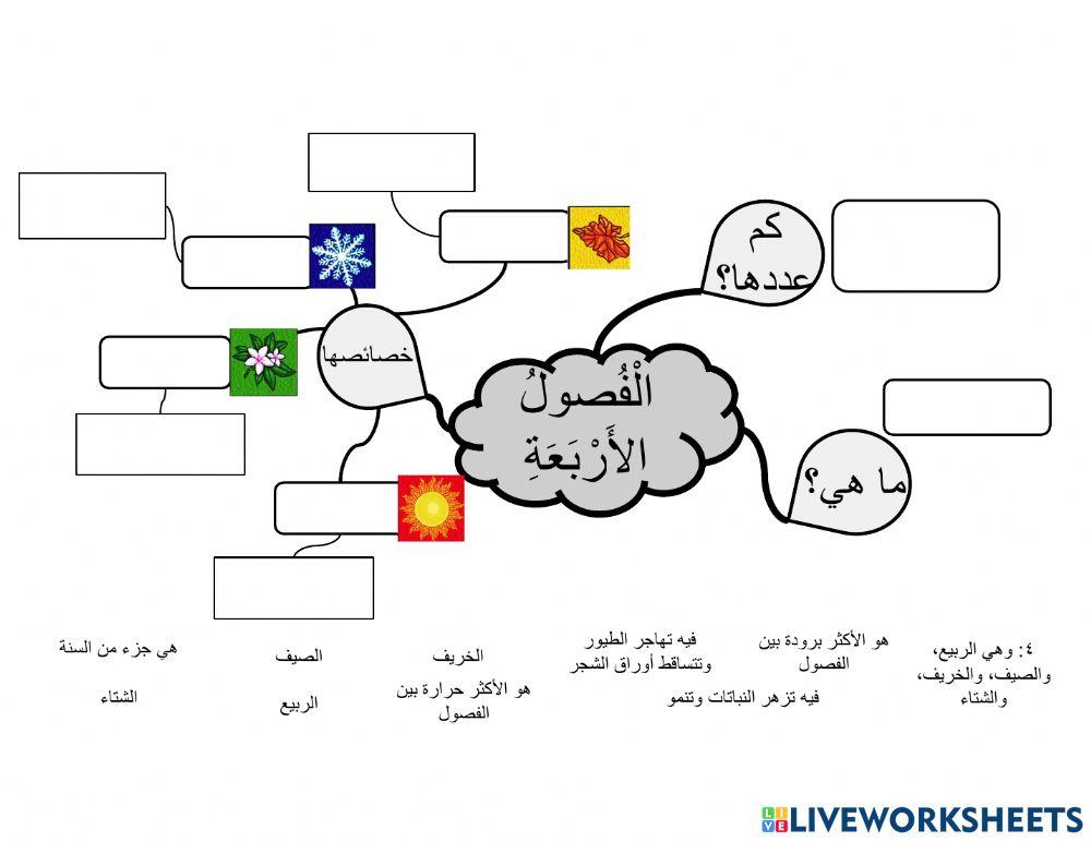 خريطة ذهنية: الفصول الأربعة