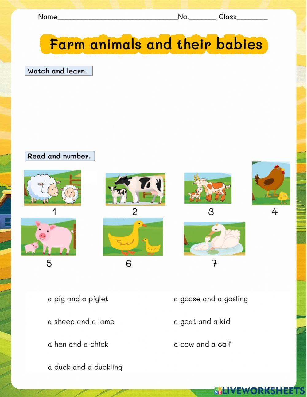 Farm animals and their babies