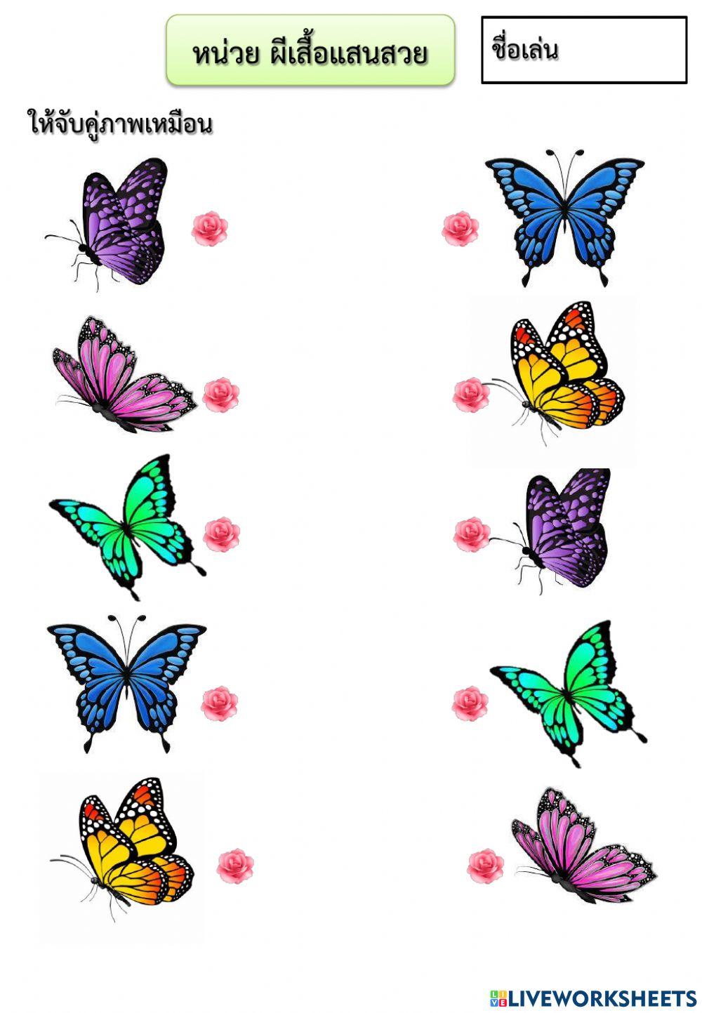 หน่วยผีเสื้อแสนสวย(จับคู่ภาพเหมือน)