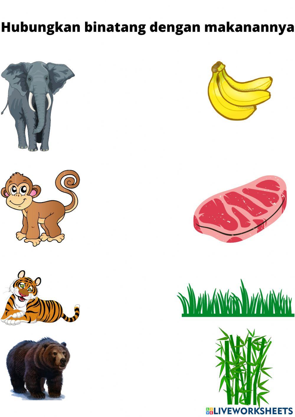 Ba aisyiyah kembaran kulon