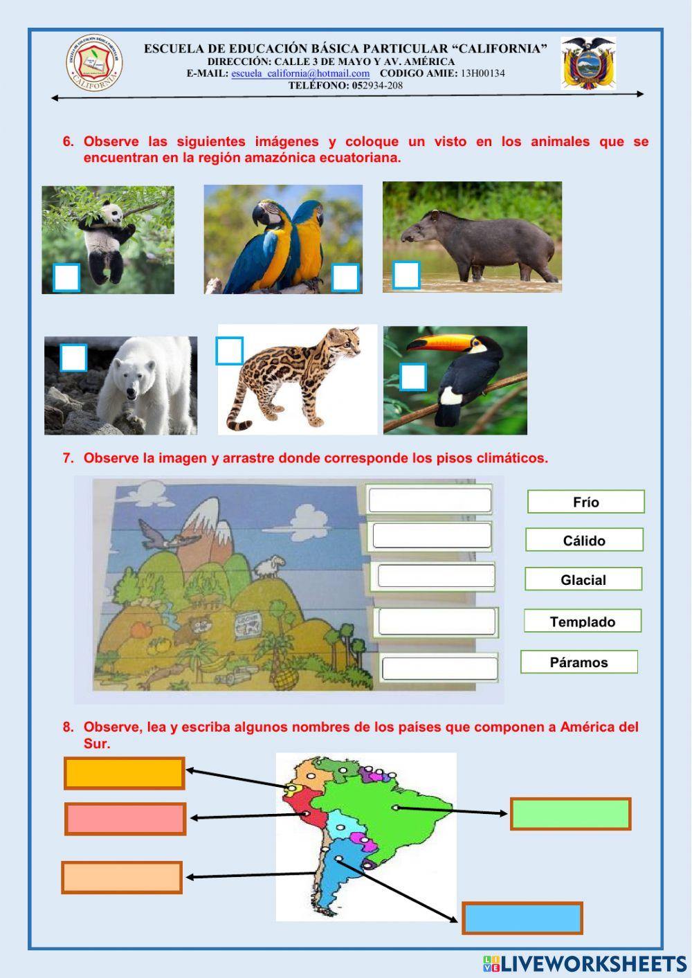 Examen de 4to. de eess del 2do. quimestre