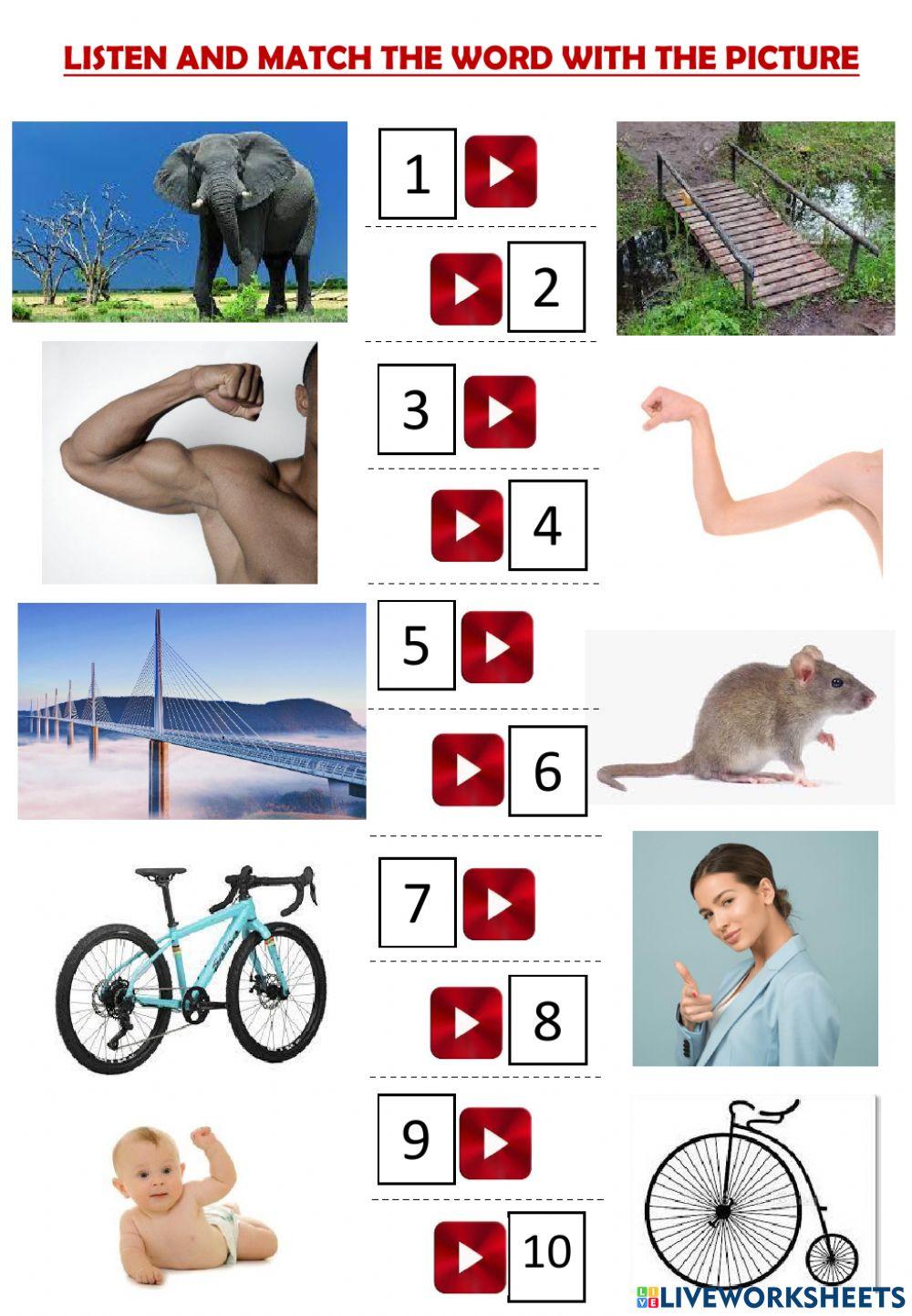 Listen and match - 50 adjectives