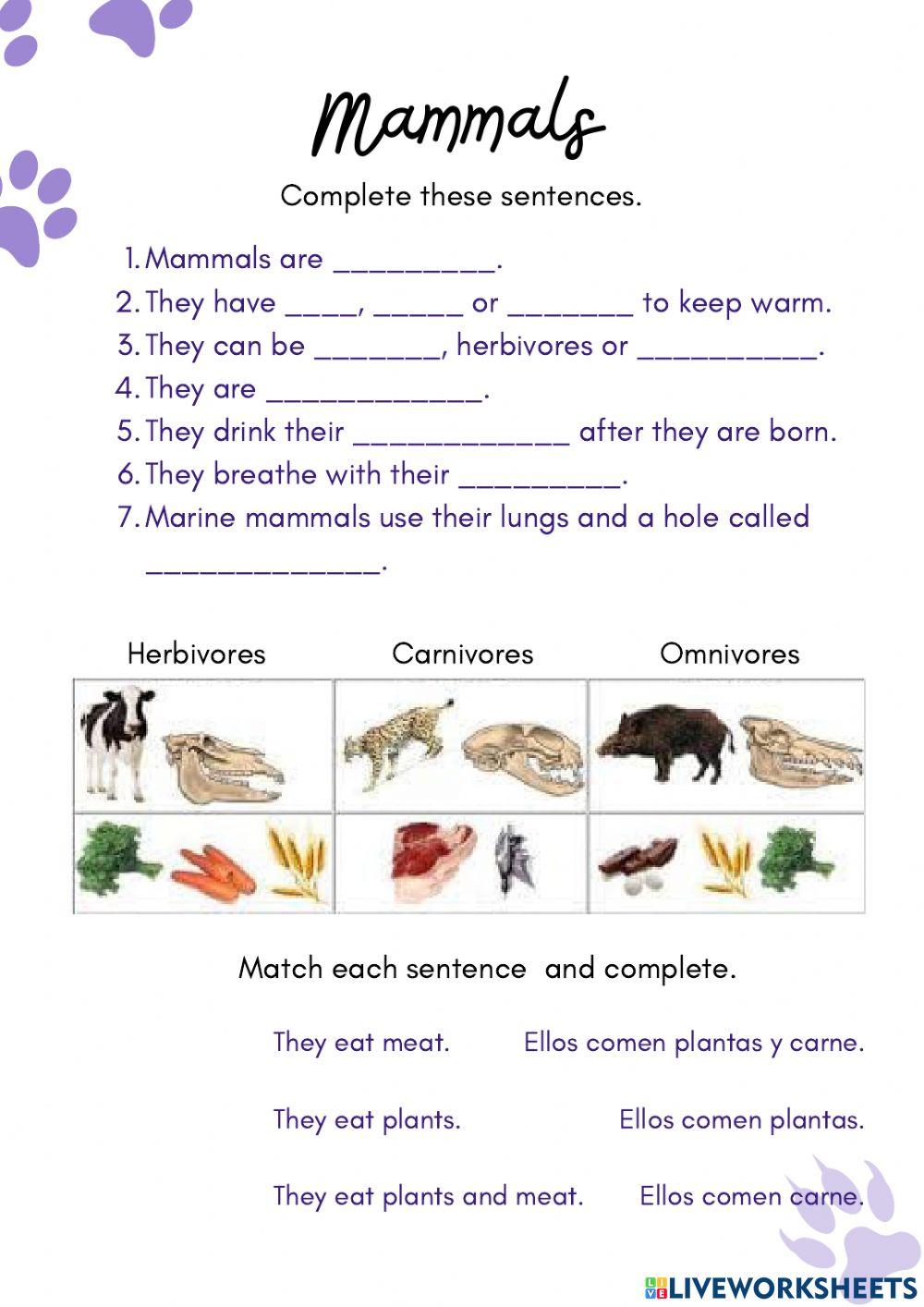 Mammals Mammals