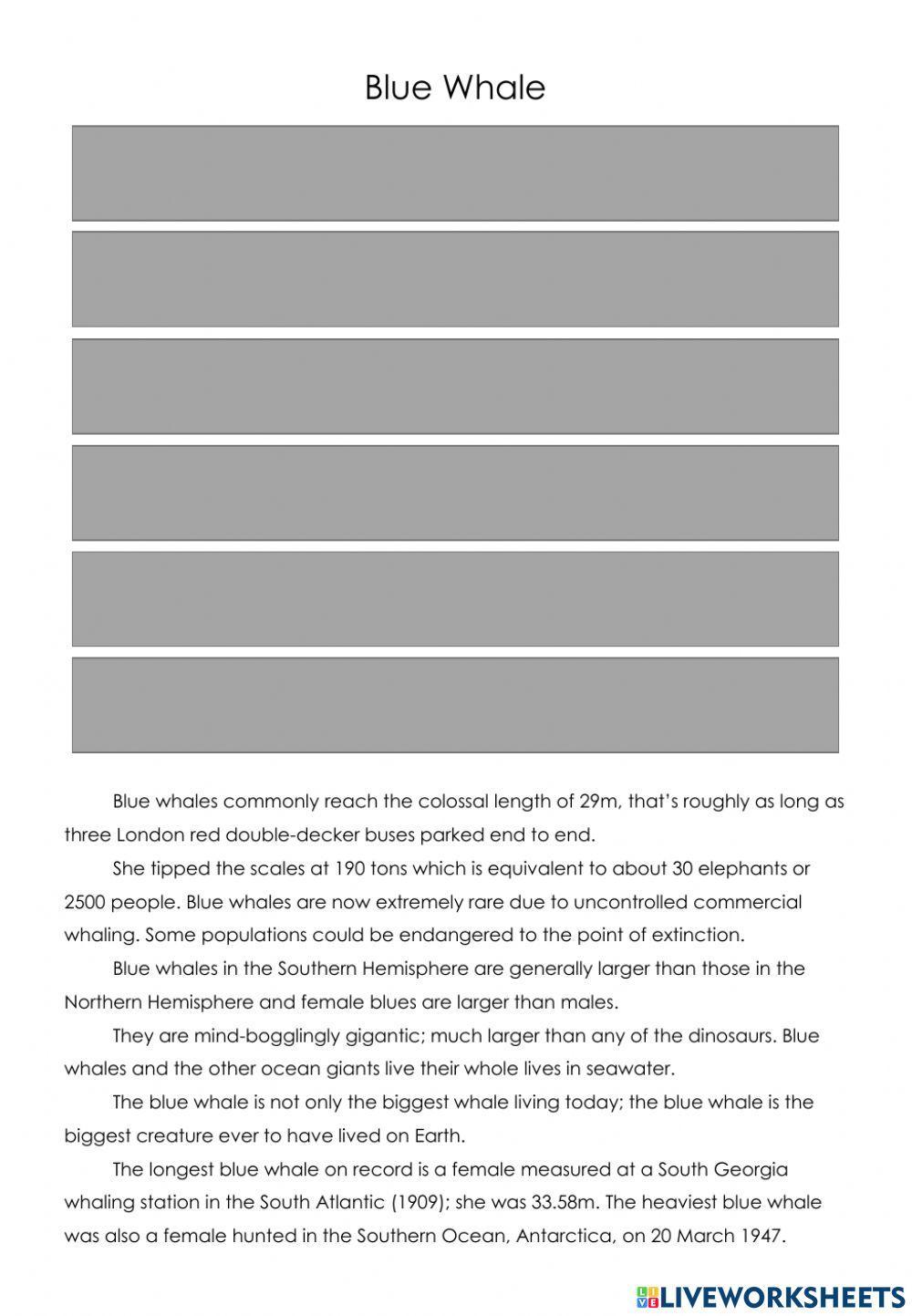 Arranging sentences into a proper report text.