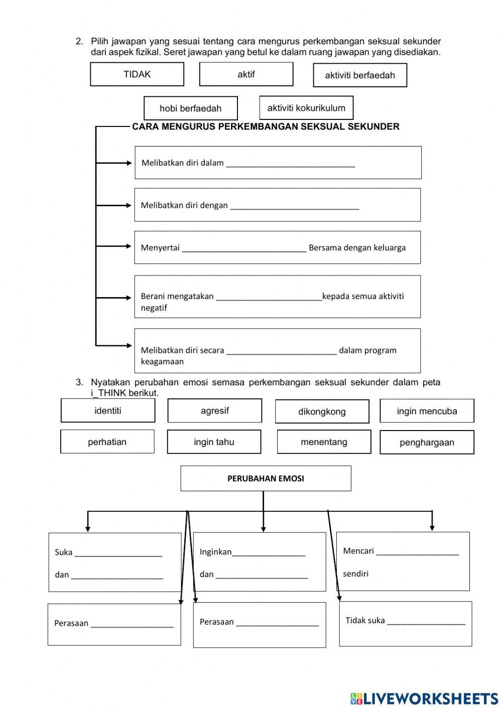 Kesihatan diri dan reproduktif : perkembangan seksual sekunder