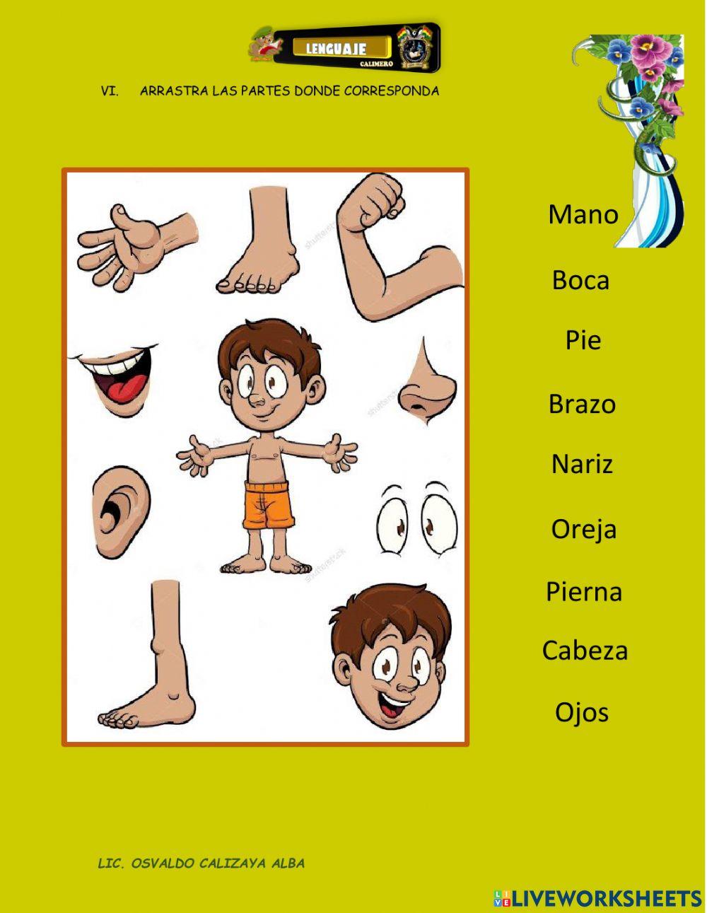 Diagnostico  grupo calimero